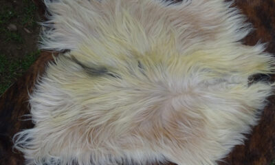 Cuero de Chivo . CUE 05